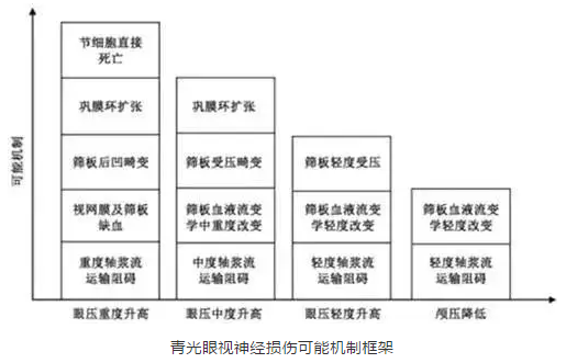 8868体育网站登录入口学术课堂：眼颅压力梯度在青光眼视神经损伤机制中作用2.png
