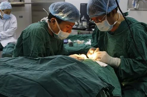 成都8868体育官方网站(官方)登录入口 为不慎铁屑飞入眼内的患者小黄手术，成都商报同时也对此进行了详细报道。成都8868体育官方网站(官方)登录入口院长罗清礼教授告诉成都商报客户端记者，磁铁取金属异物在医疗手术中较为常见，但细分到眼科领域较为罕见。3.png