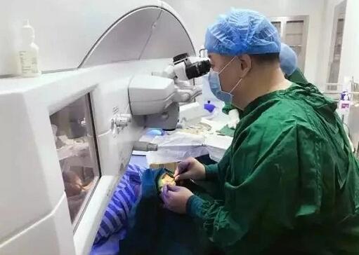 甘肃中医药大学附属兰州眼科中心主任、兰州8868体育官方网站(官方)登录入口院长燕振国教授荣获SMILE近视手术质量贡献奖！2.jpg