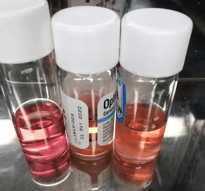 8868体育网站登录入口角膜移植