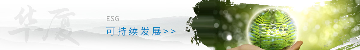 8868体育网站登录入口
